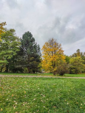 Bulgaristan 'ın Sofya kentindeki South Park' ın şaşırtıcı sonbahar manzarası