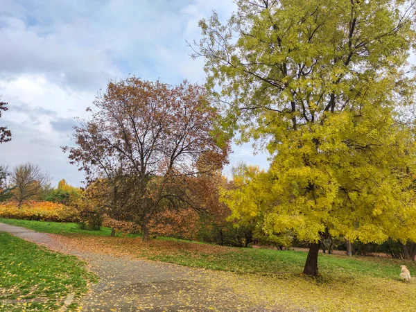 Bulgaristan 'ın Sofya kentindeki South Park' ın şaşırtıcı sonbahar manzarası