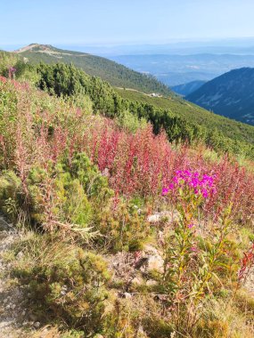 Amazing Summer view of Rila mountain at Yastrebets area, Bulgaria