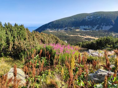 Amazing Summer view of Rila mountain at Yastrebets area, Bulgaria