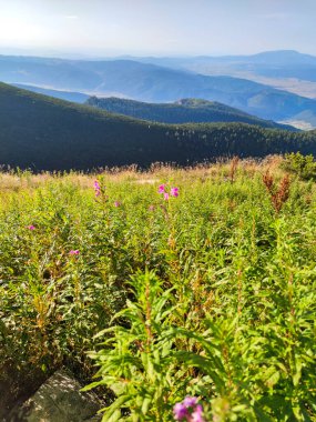 Amazing Summer view of Rila mountain at Yastrebets area, Bulgaria