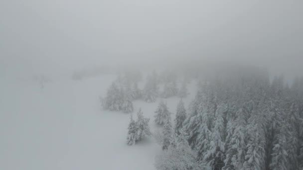 Amazing Aerial Winter View Rila Mountain Belmeken Dam Bulgaria — Stok video