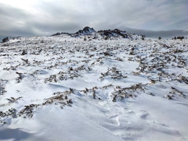 Amazing Winter landscape near Platoto area at Vitosha Mountain, Sofia City Region, Bulgaria