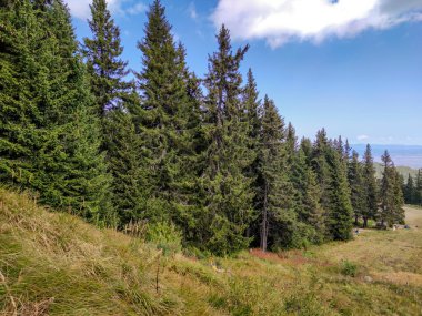 Bulgaristan 'ın Vitosha Dağı' nın şaşırtıcı sonbahar manzarası
