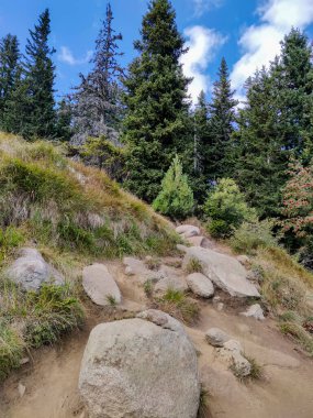 Bulgaristan 'ın Vitosha Dağı' nın şaşırtıcı sonbahar manzarası