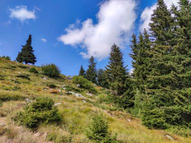 Bulgaristan 'ın Vitosha Dağı' nın şaşırtıcı sonbahar manzarası