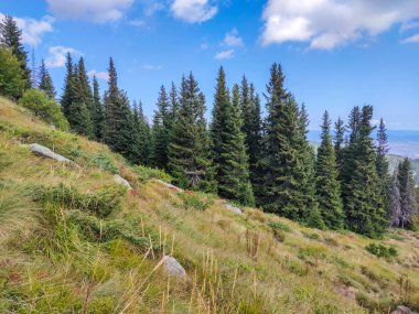 Bulgaristan 'ın Vitosha Dağı' nın şaşırtıcı sonbahar manzarası