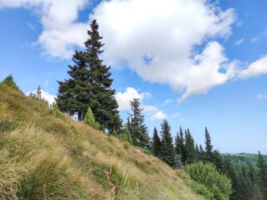Bulgaristan 'ın Vitosha Dağı' nın şaşırtıcı sonbahar manzarası