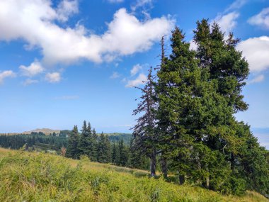 Bulgaristan 'ın Vitosha Dağı' nın şaşırtıcı sonbahar manzarası