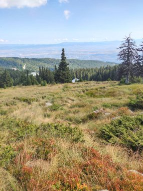 Bulgaristan 'ın Vitosha Dağı' nın şaşırtıcı sonbahar manzarası