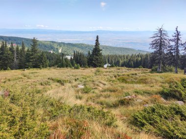 Bulgaristan 'ın Vitosha Dağı' nın şaşırtıcı sonbahar manzarası