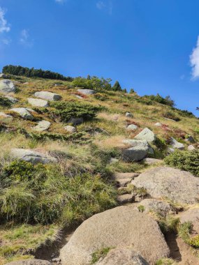 Bulgaristan 'ın Vitosha Dağı' nın şaşırtıcı sonbahar manzarası