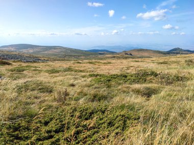 Bulgaristan 'ın Vitosha Dağı' nın şaşırtıcı sonbahar manzarası