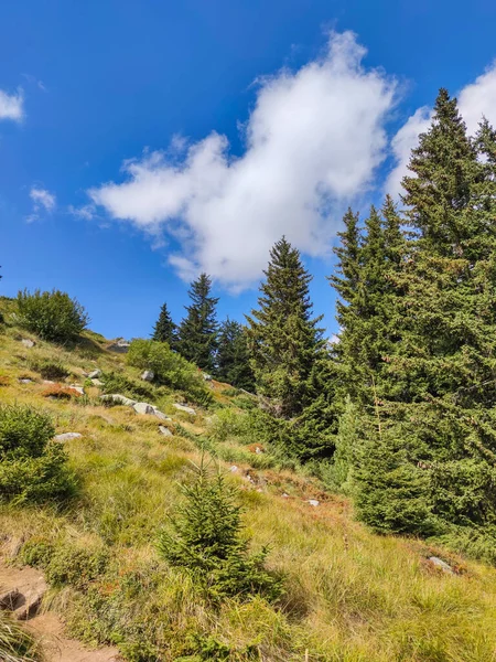 Bulgaristan 'ın Vitosha Dağı' nın şaşırtıcı sonbahar manzarası