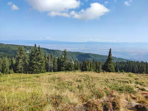 Bulgaristan 'ın Vitosha Dağı' nın şaşırtıcı sonbahar manzarası
