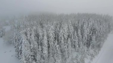 Amazing Aerial winter view of Rila mountain near Belmeken Dam, Bulgaria