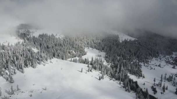 Amazing Aerial Winter View Rila Mountain Belmeken Dam Bulgaria — 图库视频影像