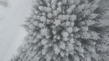 Amazing Aerial winter view of Rila mountain near Belmeken Dam, Bulgaria