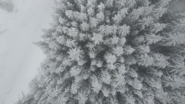 Дивовижний Зимовий Вигляд Гори Рила Поблизу Греблі Бельмекен Болгарія — стокове відео