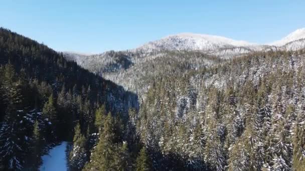 Aerial Winter View Rhodope Mountains Persenk Peak Smolyan Region Bulgaria — Stockvideo