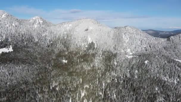 Vista Aérea Invierno Las Montañas Rhodope Cerca Del Pico Persenk — Vídeos de Stock
