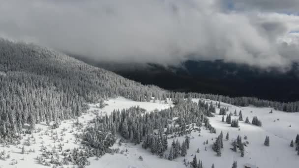 Amazing Aerial Winter View Rila Mountain Belmeken Dam Bulgaria — Stok video