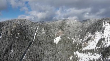 Aerial winter view of Rhodope Mountains around resort of Pamporovo, Smolyan Region, Bulgaria