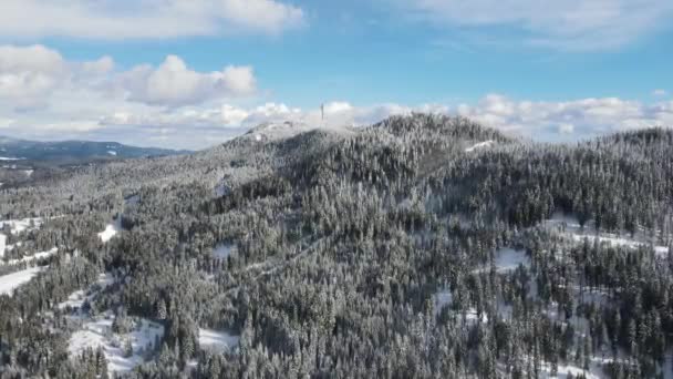 Aerial Winter View Rhodope Mountains Village Stoykite Pamporovo Smolyan Region — Stockvideo