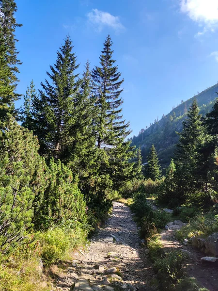 Amazing Autumn Landscape of Rila Mountain near Malyovitsa peak, Bulgaria