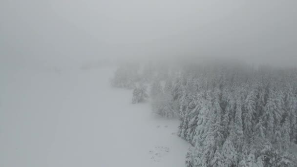 Amazing Aerial Winter View Rila Mountain Belmeken Dam Bulgaria — Stockvideo