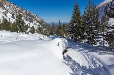 Amazing Winter view of Rila Mountain near Malyovitsa peak, Bulgaria