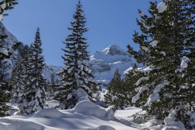 Amazing Winter view of Rila Mountain near Malyovitsa peak, Bulgaria