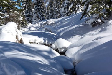Amazing Winter view of Rila Mountain near Malyovitsa peak, Bulgaria
