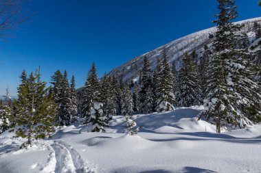 Amazing Winter view of Rila Mountain near Malyovitsa peak, Bulgaria