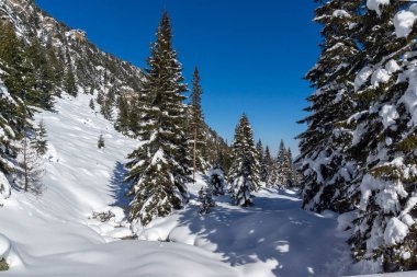 Amazing Winter view of Rila Mountain near Malyovitsa peak, Bulgaria