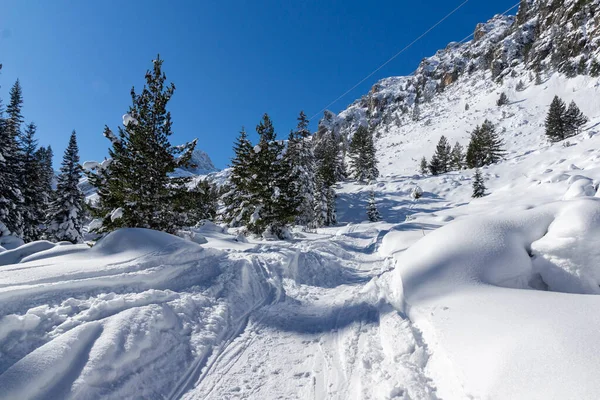Úžasný Zimní Pohled Horu Rila Nedaleko Vrcholu Malyovitsa Bulharsko — Stock fotografie