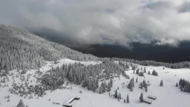 Amazing Aerial Winter View Rila Mountain Belmeken Dam Bulgaria — Video