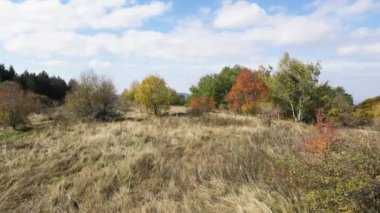 Bulgaristan 'ın Vitosha Dağı' nın şaşırtıcı sonbahar manzarası