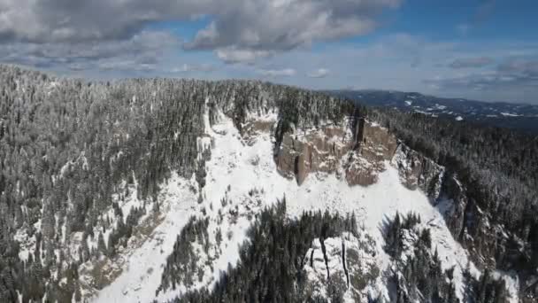 Vista Aérea Inverno Das Montanhas Rhodope Torno Resort Pamporovo Região — Vídeo de Stock