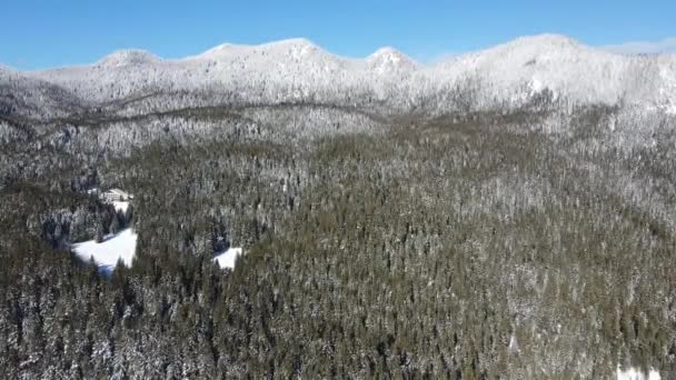 Εναέρια Χειμερινή Άποψη Της Οροσειράς Της Ροδόπης Κοντά Στην Κορυφή — Αρχείο Βίντεο