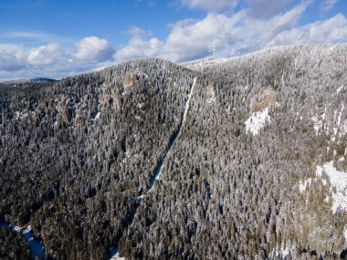 Aerial winter view of Rhodope Mountains around resort of Pamporovo, Smolyan Region, Bulgaria