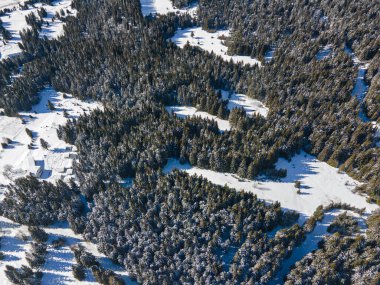 Aerial winter view of Rhodope Mountains around resort of Pamporovo, Smolyan Region, Bulgaria