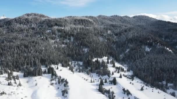 Vista Aérea Inverno Das Montanhas Rhodope Torno Aldeia Stoykite Pamporovo — Vídeo de Stock