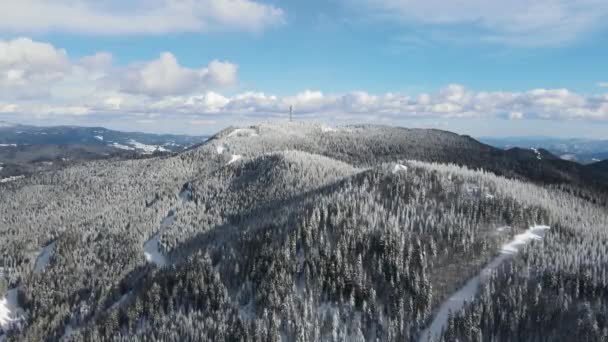 Veduta Aerea Invernale Delle Montagne Rodopi Intorno Villaggio Stoykite Pamporovo — Video Stock