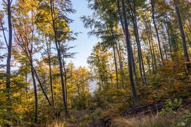 Bulgaristan 'ın Pernik bölgesindeki Erul Dağı' nın İnanılmaz Sonbahar Manzarası