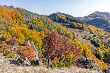 Bulgaristan 'ın Pernik bölgesindeki Erul Dağı' nın İnanılmaz Sonbahar Manzarası