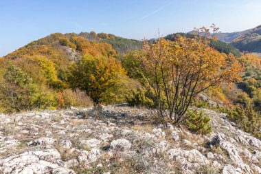 Bulgaristan 'ın Pernik bölgesindeki Erul Dağı' nın İnanılmaz Sonbahar Manzarası