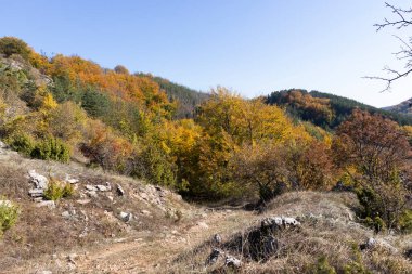 Bulgaristan 'ın Pernik bölgesindeki Erul Dağı' nın İnanılmaz Sonbahar Manzarası