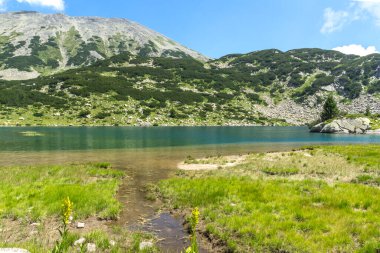 Amazing Summer view of Pirin Mountain around Banderitsa River, Bulgaria