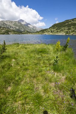 Amazing Summer view of Pirin Mountain around Banderitsa River, Bulgaria